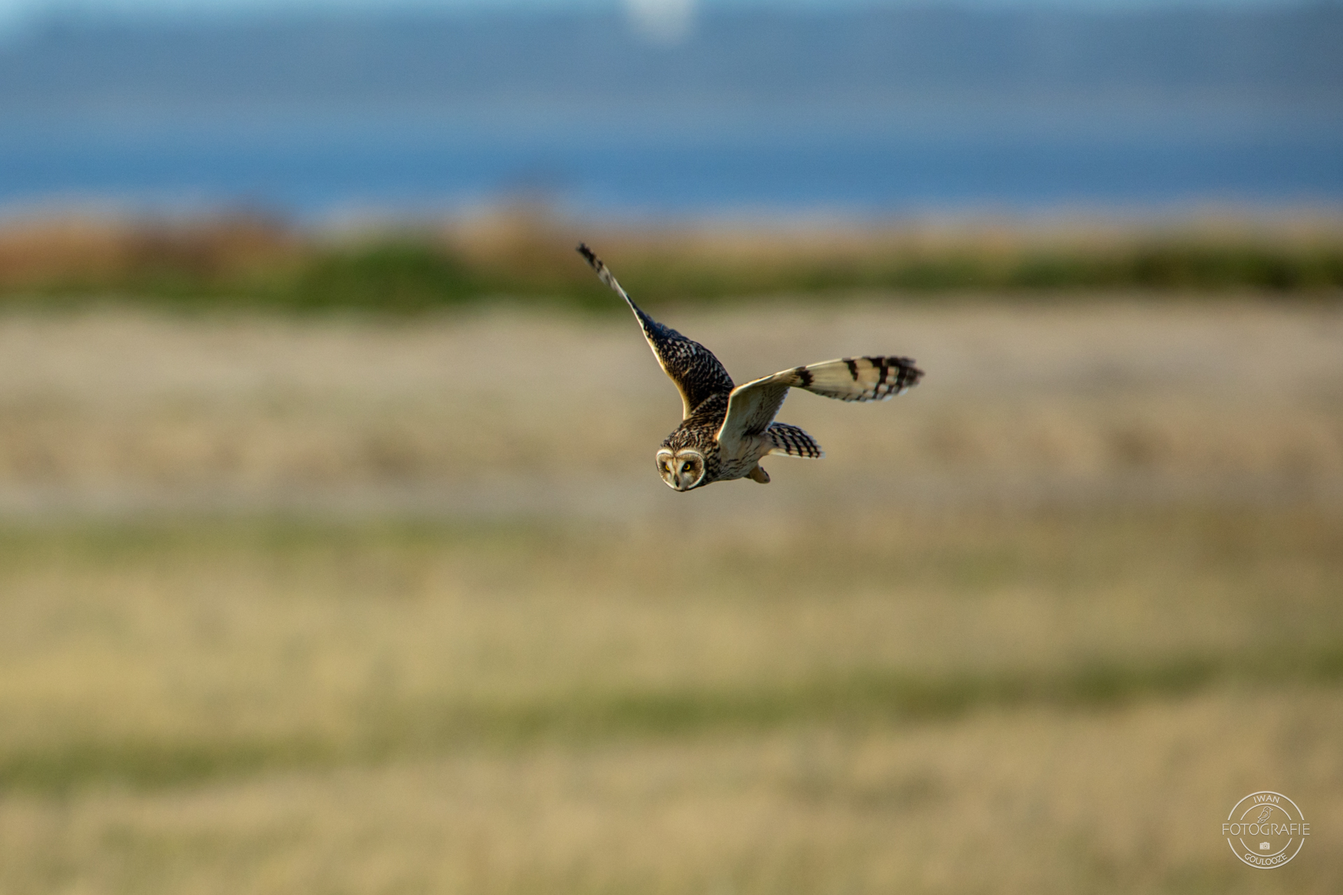 16 oktober 2022 165708 1R2A3156